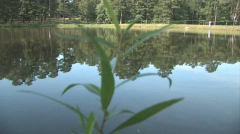 Lake 3 Stock-Footage 976407