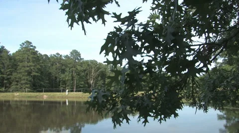 Lake 4 Stock Footage 976396