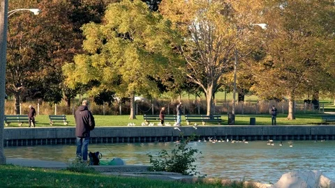 Lake  4K Stock Footage 81937285