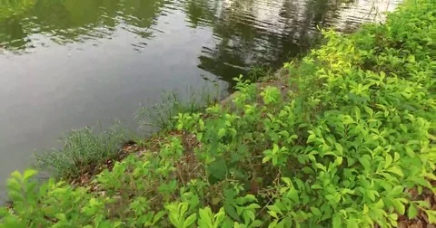 Lake Ad Excellectiam Riverside Rising Stock Footage 69199864