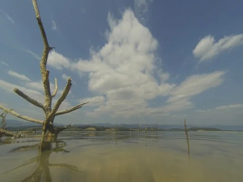 Lake in the afternoon Stock Footage 75036212