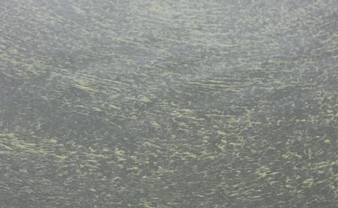 Lake algae Stock Photos