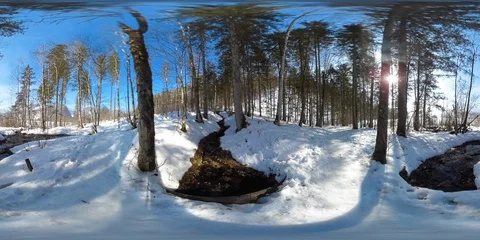 Lake Almsee in austria in winter Stock Footage 94332154