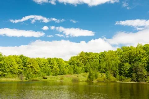 Lake among forest in spring Foto stock