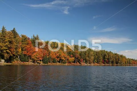 Lake and autumn trees reflecting on calm water. Stock Photos