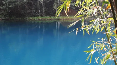 Lake and bamboo Stock Footage 32168115