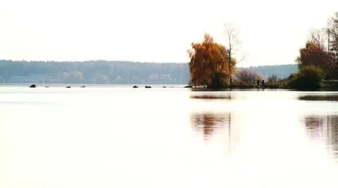 Lake and beach Stock Footage 10572644