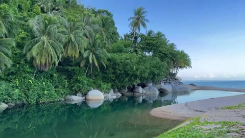 Lake and Beach Video stock 246032112