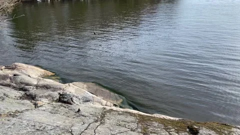 Lake and cliffs one spring day. Stock Footage 250658240