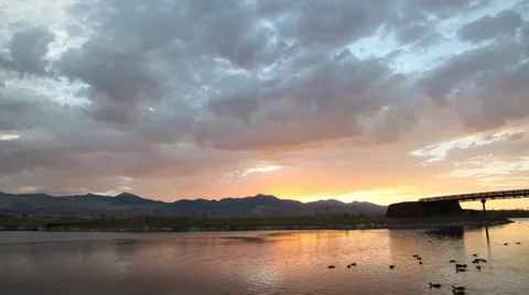 Lake and ducks Stock Footage 35784895