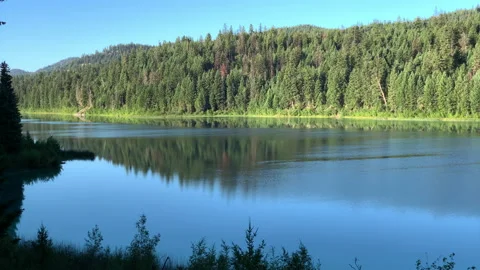 Lake and eagle diving in distance Stock Footage 146821397