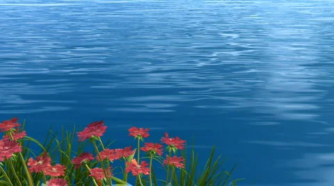 Lake and flower 動画素材 571509