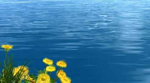 Lake and flower Vídeo Stock 571580