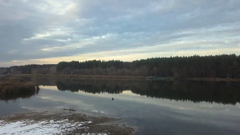 Lake and Forest drone Stock Footage 100089888