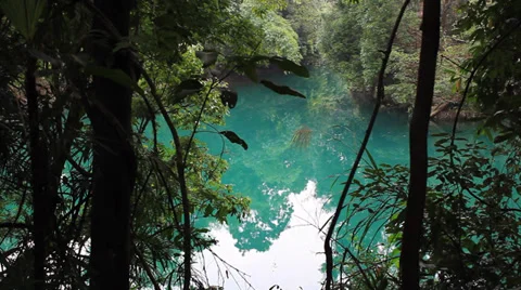 Lake and forest Stock Footage 32168286