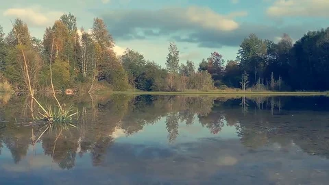 Lake and Forest Video stock 81652545
