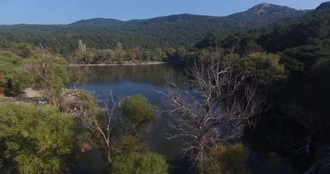Lake and Forest Video stock 97991662