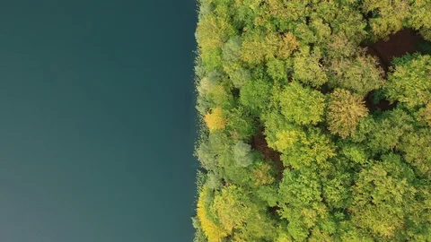 Lake and forest Stock Footage 117227792