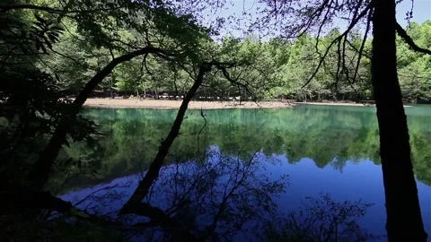 Lake and Forest 스톡 동영상 219861417