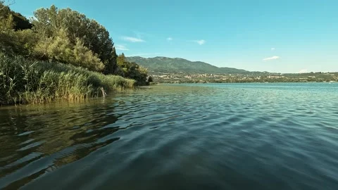 Lake and forest Stock Footage 225649873