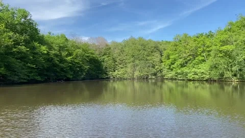 Lake and forest Stock Footage 340640217