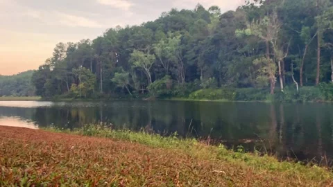 Lake and forest with mountain background Stock Footage 269504530