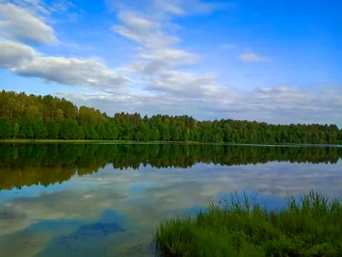 The lake and the forest Stock Photos