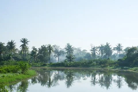 The lake and the forest Stock Photos