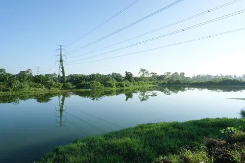 The lake and the forest Stock Photos