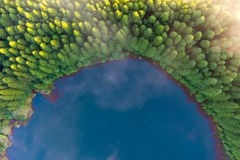 Lake and Forest Stock Photos