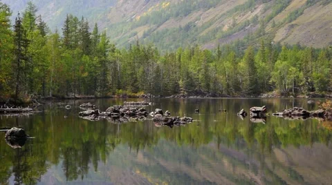 Lake and forest reflection Stock Footage 61399907