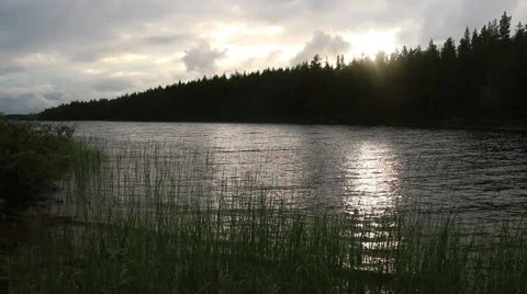 Lake and forest before sunset Stock Footage 68446607
