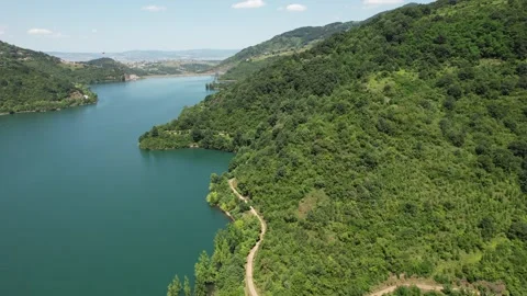 Lake and forest view Stock Footage 253822138