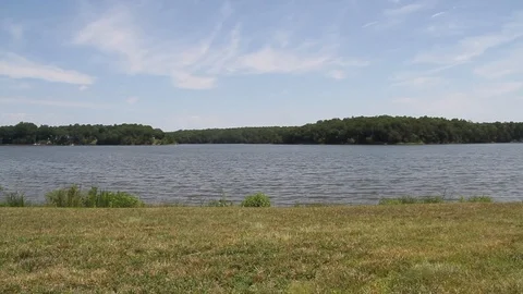 Lake and grass Video stock 100855995