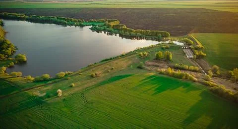 Lake and green spring fields Stock Photos