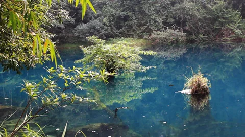 Lake and jungle 스톡 동영상 32168325