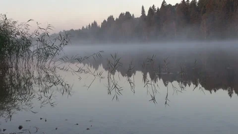 The Lake And The Mist Stock Footage 239555870