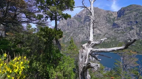 Lake and Mountain Stock Footage 73213205