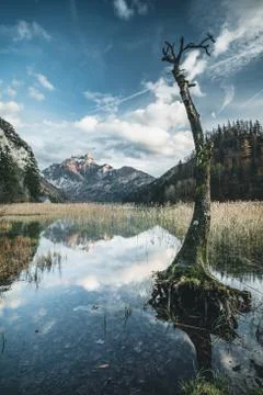 Lake and mountain with reflection during autumn in austria Stock Photos