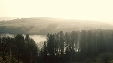 Lake and pine trees Peak District National Park on misty day landscape Stock Footage 305649892