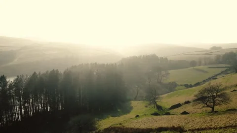 Lake and pine trees Peak District National Park on misty day landscape Stock Footage 306503543
