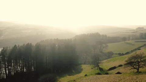 Lake and pine trees Peak District National Park on misty day landscape Stock Footage 307832837