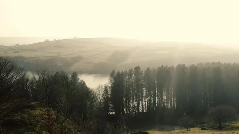 Lake and pine trees Peak District National Park on misty day landscape Stock Footage 318905246