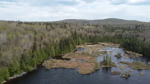 Lake and Recursive Islands Stock Footage 158118942