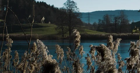 Lake and Reed Stock Footage 91732871