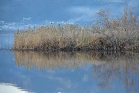 Lake and reflection Stock-Fotos