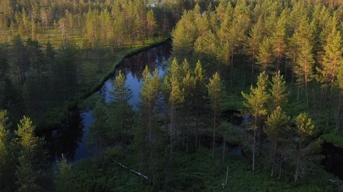 Lake and river in forest Stock Footage 124402480