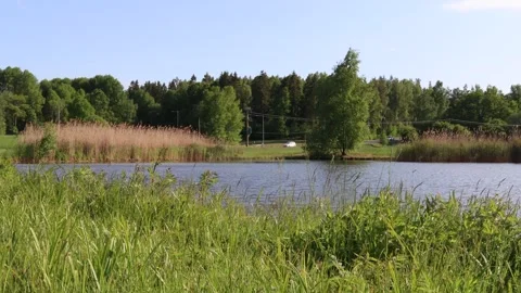 Lake and summer. Stock Footage 247738643