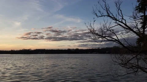 Lake and tree branches, sunset 動画素材 130544333