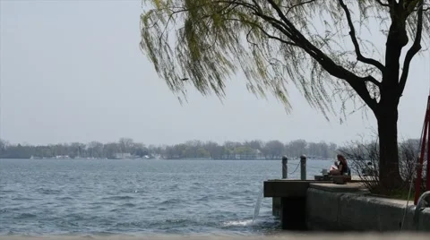 Lake and Tree Stock Footage 50370366